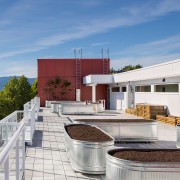 Phase 1 at Little Mountain