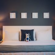 Summit-Lodge-Boutique-Hotel-4-copy